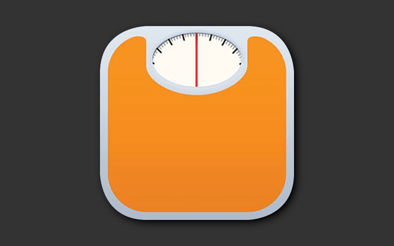 lose it calorie counter